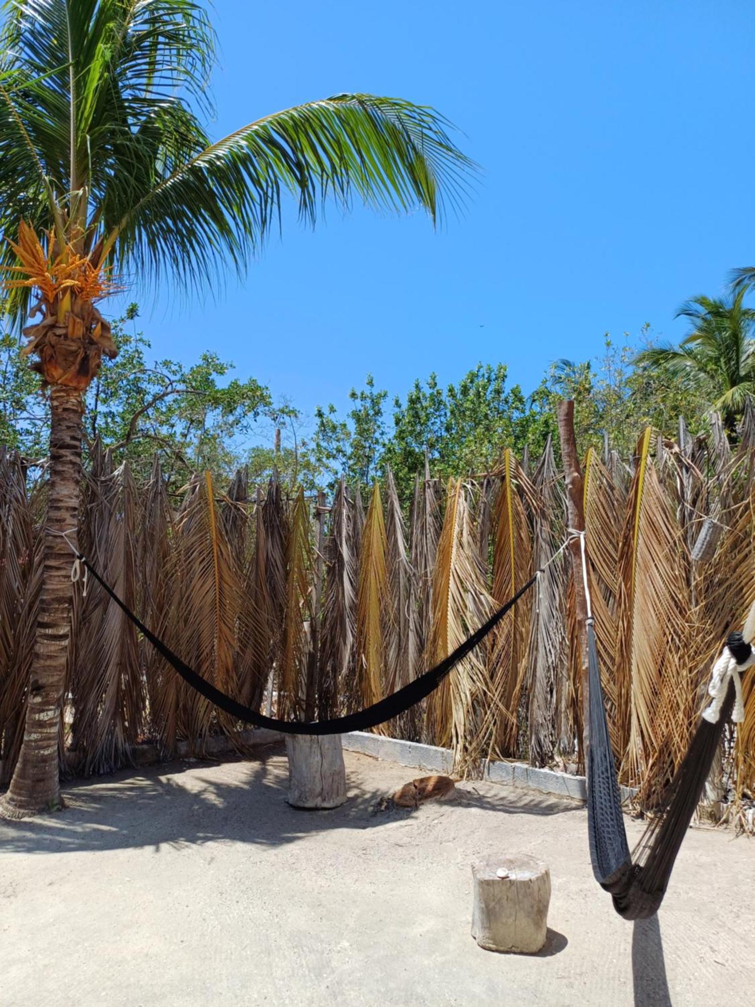 Aparthotel Casa Sofia Holbox Zewnętrze zdjęcie